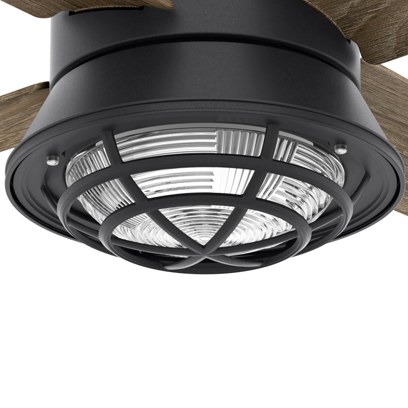 54" Seafarer 4 - Blade Outdoor Standard Ceiling Fan with Wall Control and Light Kit Included
