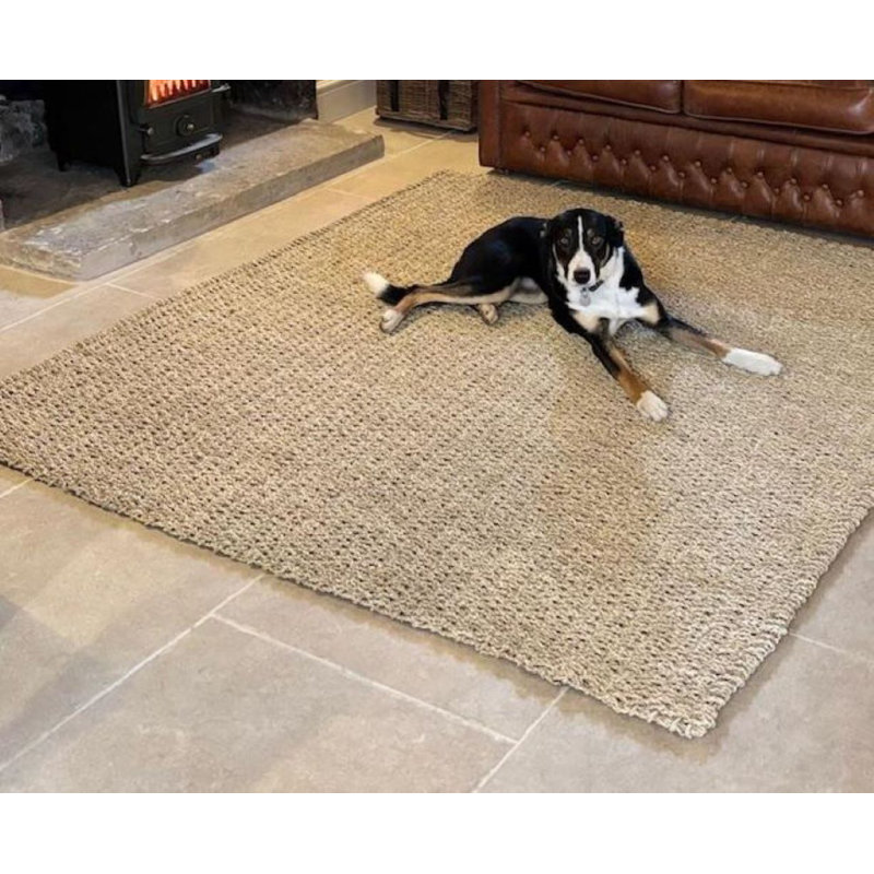 Hand Woven 120cm X 170cm Area Rug