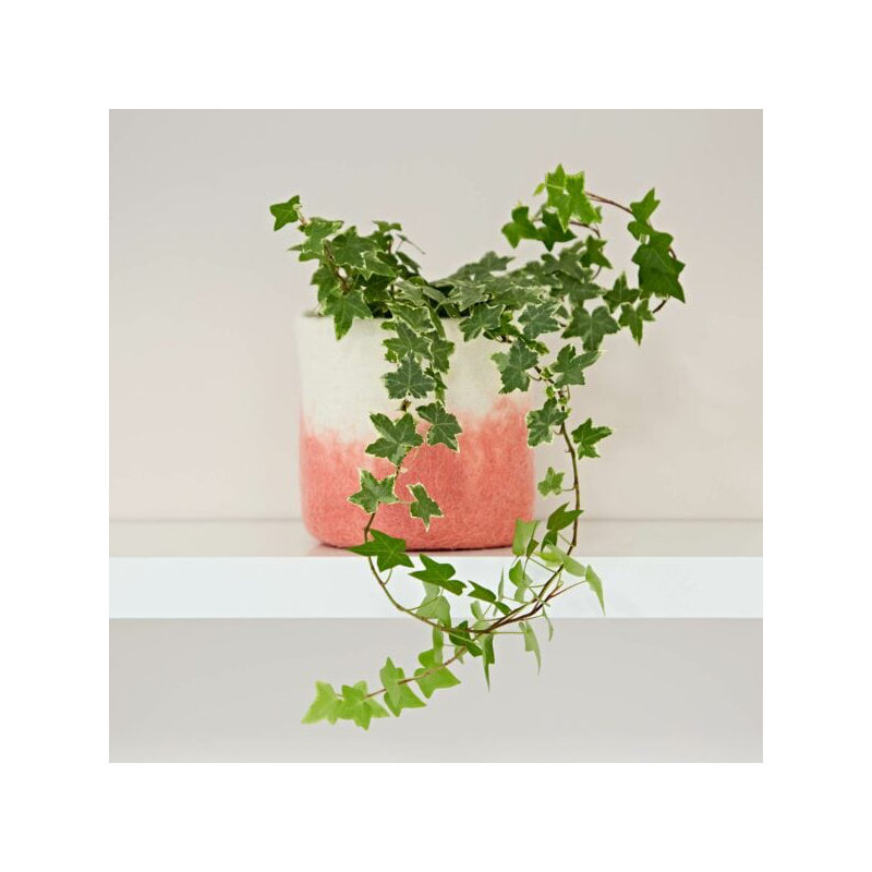 Plant Stand, Peach