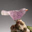 Genuine Polished Hand Carved Fluorite Finch On A Green Tourmaline In Quartz Matrix (5.5"H)