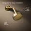 Awaken G90 Single-Function Full/Standard Fixed Shower Head-749082038-777960555