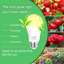 Grow Light Bulb-3-134529459