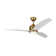 Avila LED Ceiling Fan