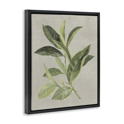 Cadre flottant feuille de thé vert, design par Lanie Loreth