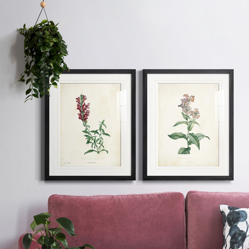 «Traditional Botanical I», reproduction encadrée de qualité supérieure, prête à être accrochée