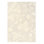 Hand Tufted Floral Area Rug in Cream/Beige