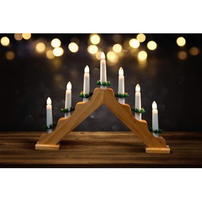 LED Indoor / Outdoor Single Christmas Light