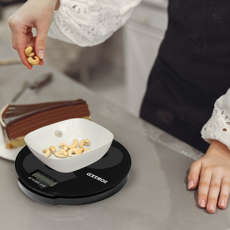 Wayfair Basics™ Digital Scale, Black