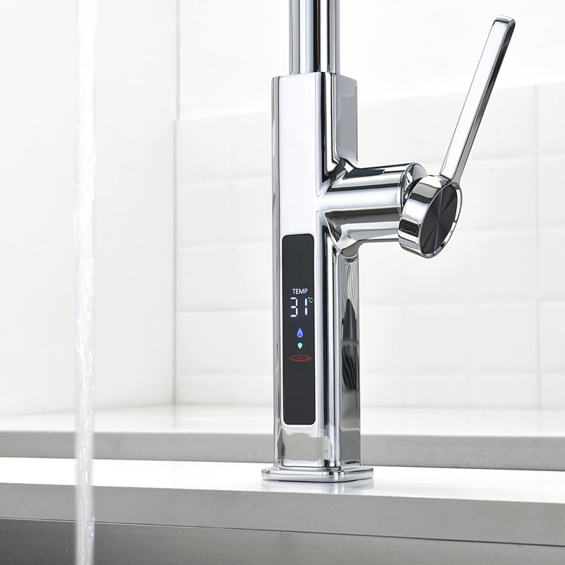 Single Handle Kitchen Faucet with Accessories, Chrome