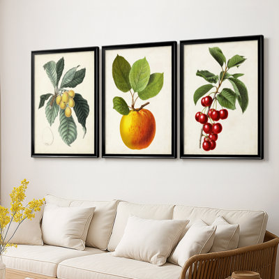 Antique Foliage & Fruit VI - Toile tendue avec châssis sur mesure - 3 pièces