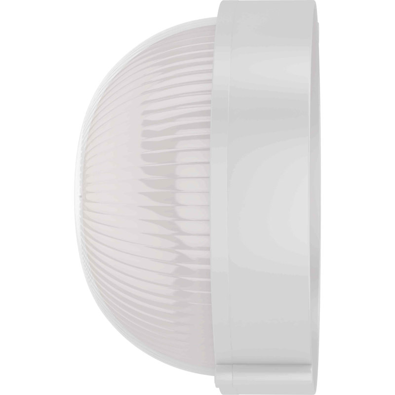 1-Light Outdoor White Round Bulkhead Wall or Ceiling Surface Mount, White