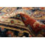 Tapis rouge Jules Sultane 3 pi 10 po x 5 pi 11 po