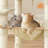 Penacook 143cm H Cat Tree