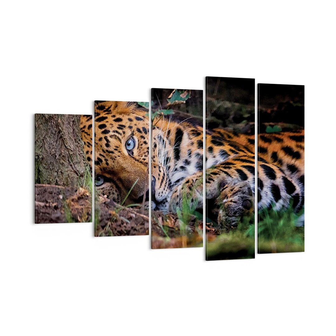 5-tlg. Leinwandbilder-Set Leopard Portrait Jaguar