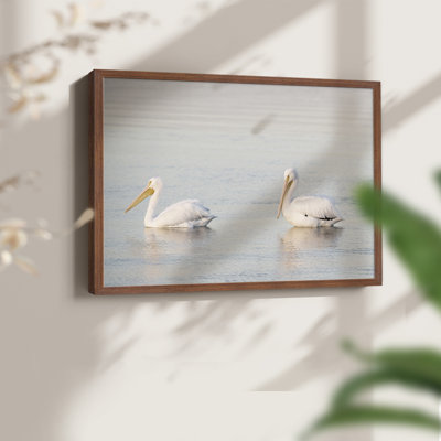 Pelican Pals -Framed Print - Restickable
