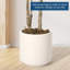 Arbre d'eucalyptus artificiel de 6 pi, tiges flexibles, plante artificielle réaliste pour l'intérieur et l'extérieur, feuilles réalistes-961954002-961954007