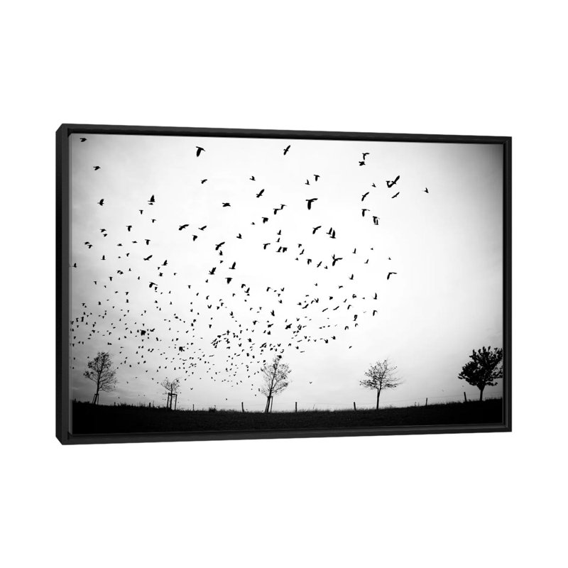 « irgendwo », reproduction de photo sur toile tendue, Toile avec cadre noir, Pas de tapis, H 32 po x l 48 po x P 1,5 po