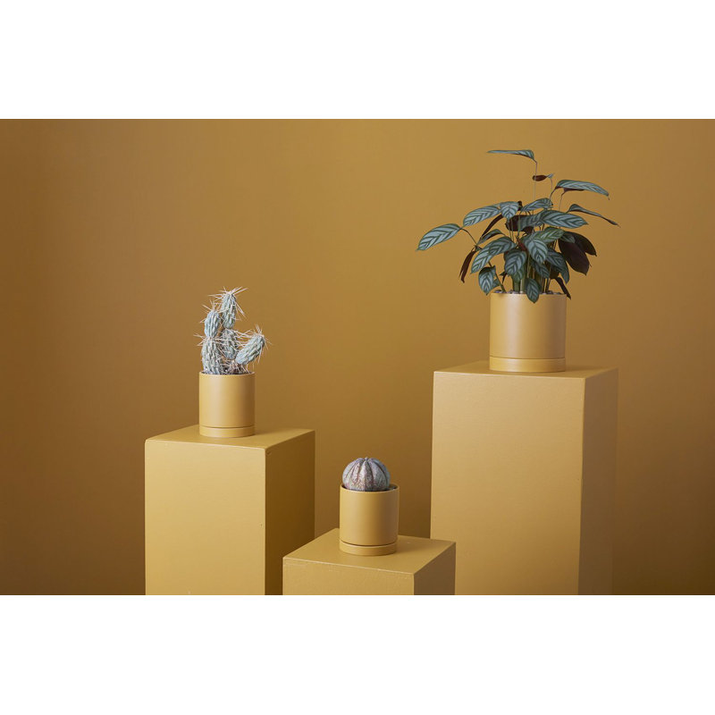 Carlotta Ceramic Pot Planter, 7" H x 7" W x 7" D, Ochre
