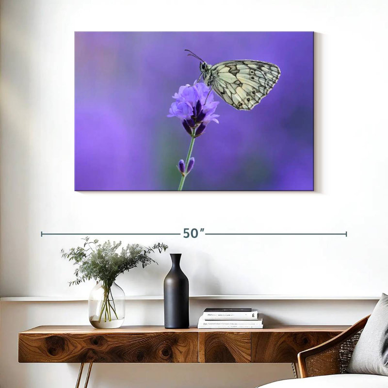 Papillon blanc marbré Brampt, H 26 po x l 39 po