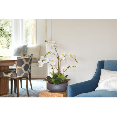 Orchidée FLORAL 24 po avec plantes grasses