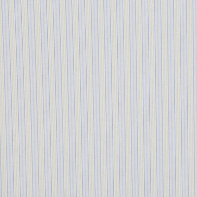 Allure Striped Fabric