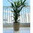 Amsterdan Pot Planter-50341602-50346400
