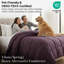Couette alternative au duvet Vilano de Southshore Fine Linens, 240 g/m², en microfibre doublement brossée, grande taille toutes saisons, avec piquage en carreaux, bords passepoilés et attaches aux coins, coloris violet.-2145475972-2145475997