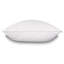 Penelope Square Pillow Cover & Insert-101837590