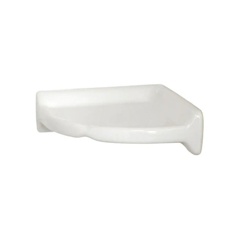 Chamlee Nails Shower Shelf