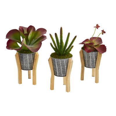 Ensemble de 3 succulents artificielles dans un pot de fleurs