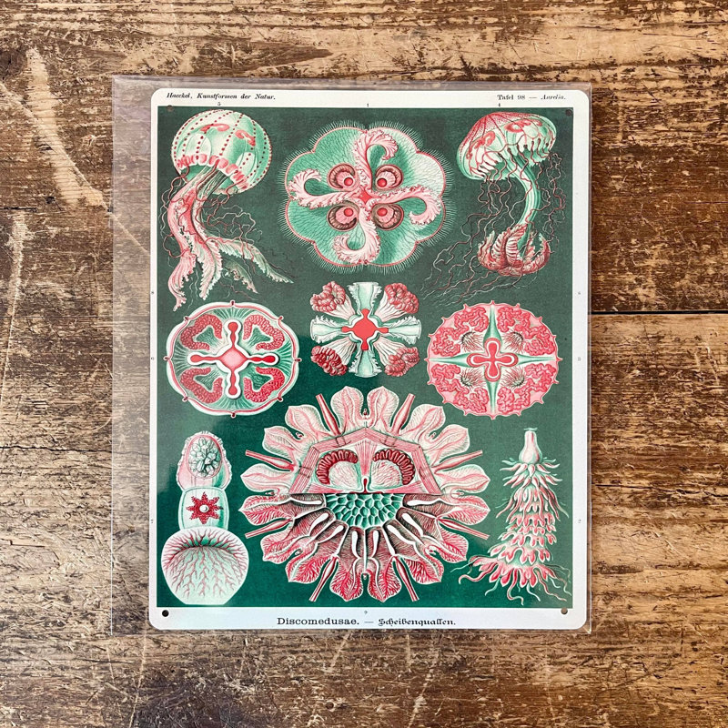 Wall Decor on Metal