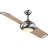 Edisto 54'' Ceiling Fan with LED Lights-438944833