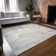 Alfonzo Machine-Washable Stain Resistant Abstract Area Rug