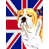 Bouledogue (jaune et blanc)