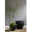 Filament Planter, Black, LG-796840895