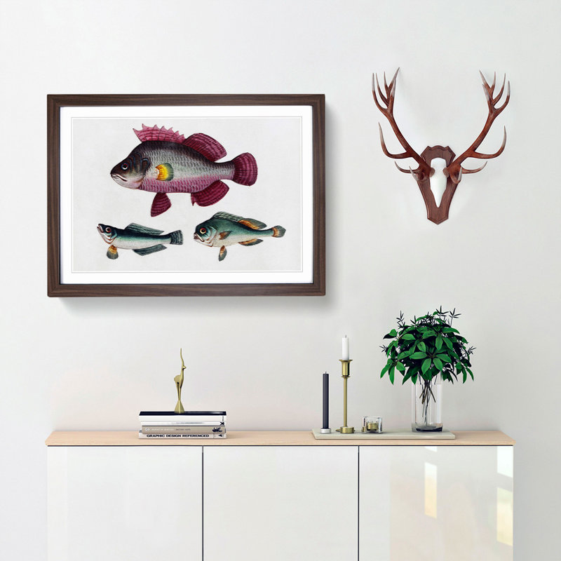 Assortment Of Fishes - Single Picture Frame Painting, Walnut, 24cm H x 33cm W x 2cm D