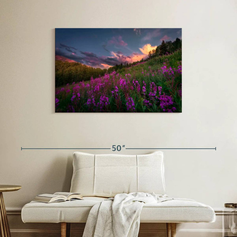 Alvord Pink Fireweeds