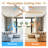 52-Inch Ceiling Fan With Light, Dc Reversible Motor, Timer (1/4/8 Hours),Light With Memory Function