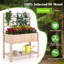Lit de jardin surélevé avec treillis 48 po x 23 po x 63 po Zayden