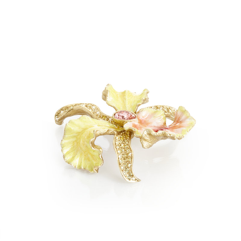 Orchidée