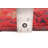 Rizbaft Red Rug 3'7" x 6'6"