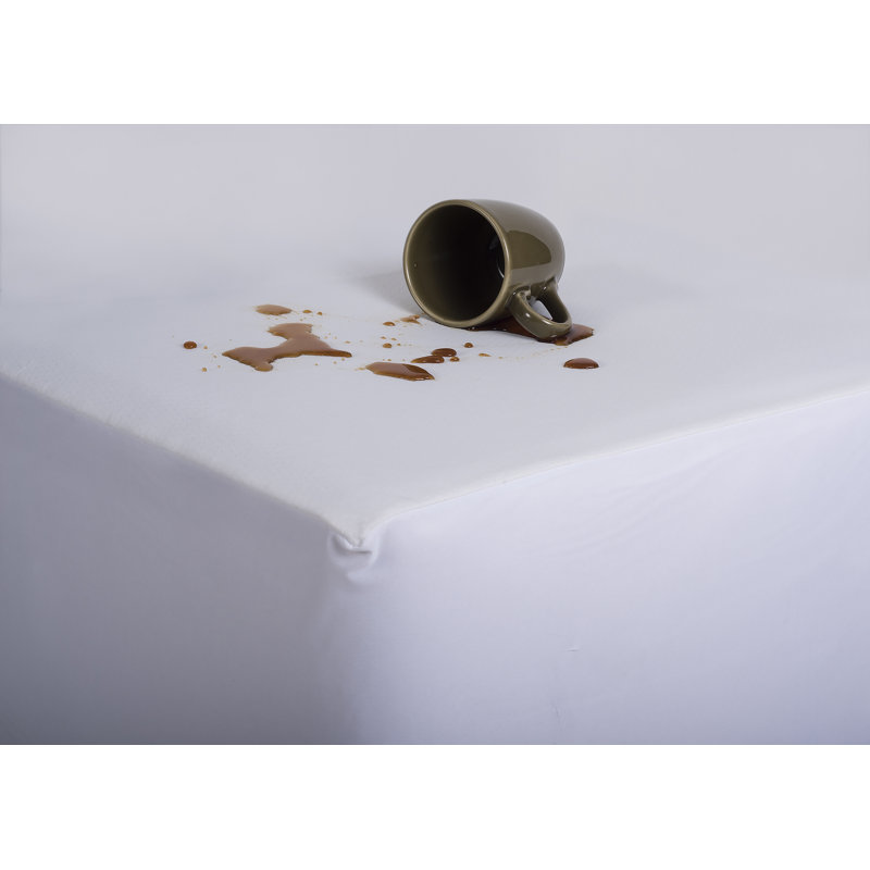Twin Waterproof Allergy and Bed Bug Protector