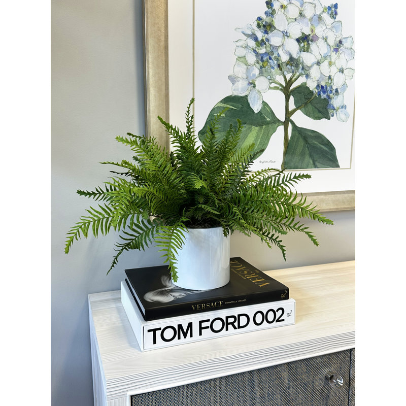 Uv Protected Fern Arrangement In A Cylindrical Pot