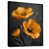 Toile avec cadre flottant noir