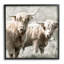 Paire de bovins Highland par Danita Delimont - photographie sur bois-1899067041-1899067036