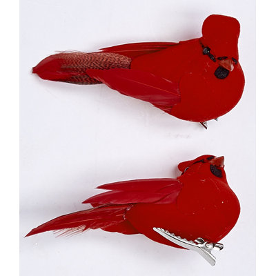 3 po cardinal