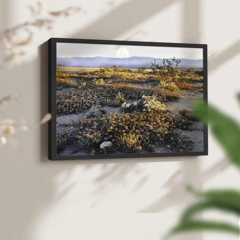 Anza Borrego - impression encadrée - réaménageable, Noir, noir, noir, noir, H 16 po x l 20 po