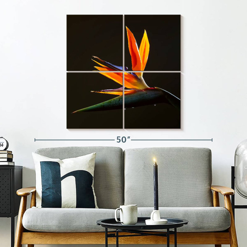 Harnek Exotic Crane Lily