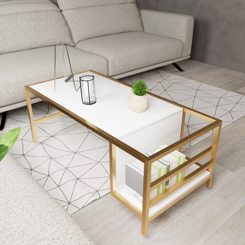 Aliona Coffee Table with Storage, White/Gold