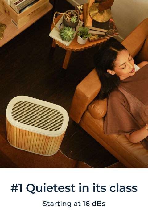 Shop The Air Purifier Max